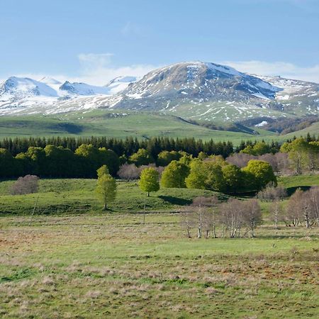 Les Mouflons Apartment La Bourboule ภายนอก รูปภาพ