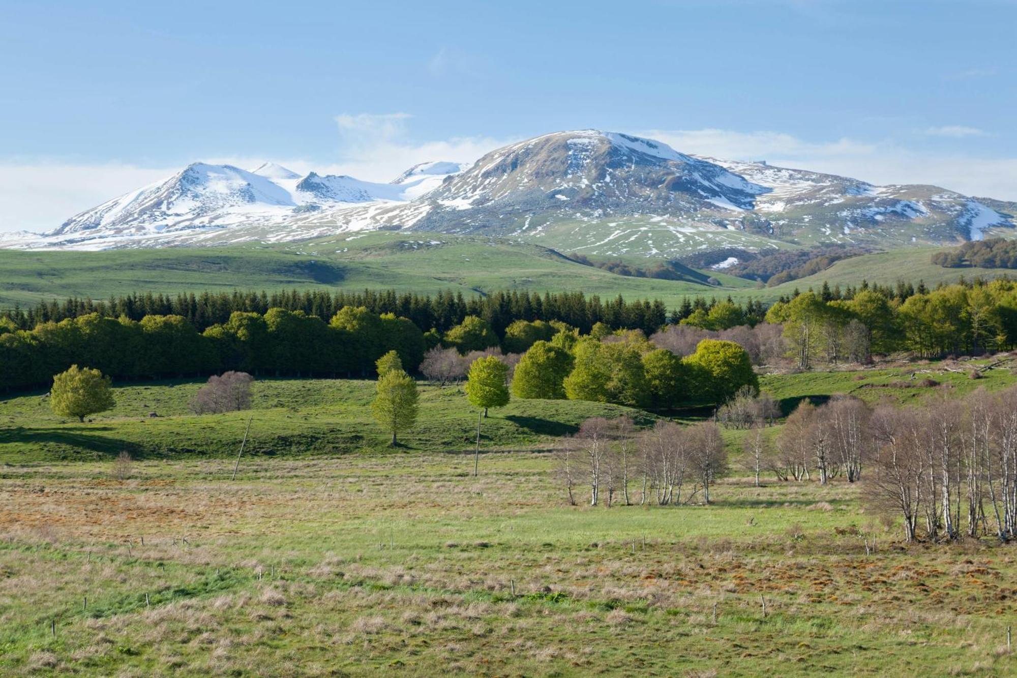 Les Mouflons Apartment La Bourboule ภายนอก รูปภาพ